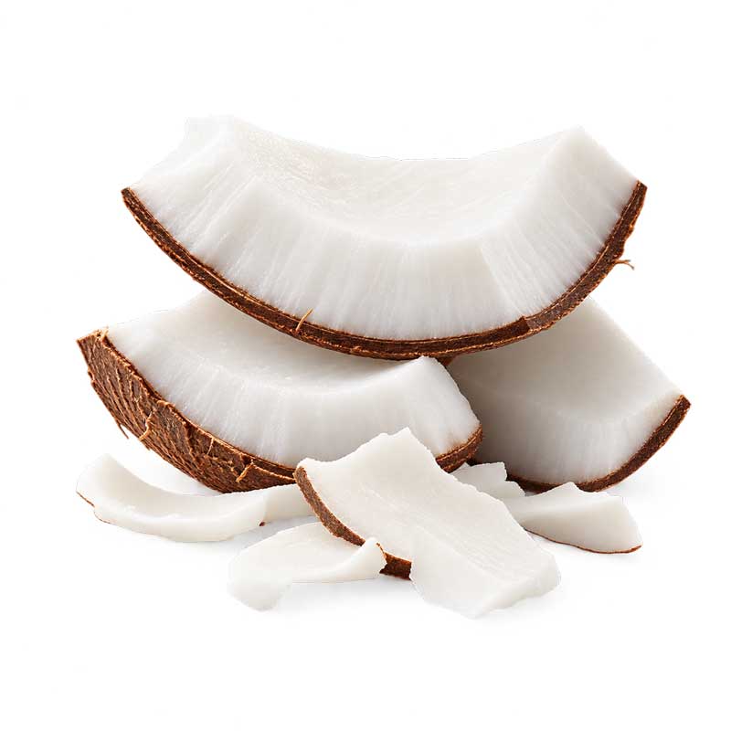 <div>COCCO</div>
